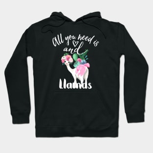 All you need is love and LLAMAS Hoodie